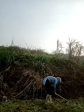 nangmo online show from March 26, 10:17 am