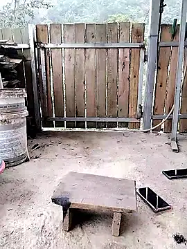 mumu661 online show from January 8, 8:29 am