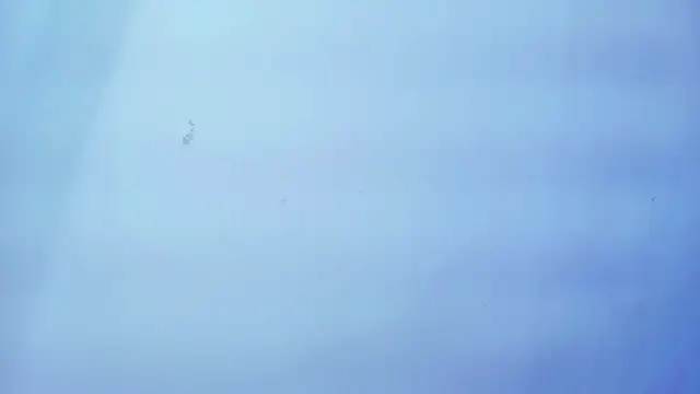 Nicole sounders online show from January 19, 11:28 am