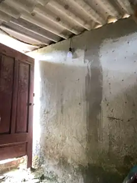 Samsam-006 online show from January 17, 5:59 am