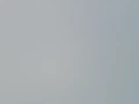 Fish 136 online show from April 1, 1:28 am