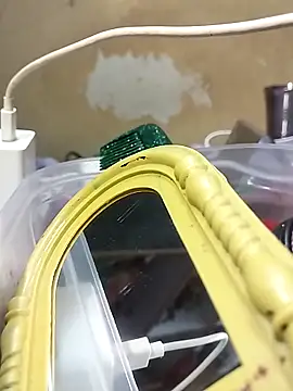 Sexy Riya123 online show from April 28, 6:12 pm