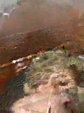 katiyvy online show from February 16, 7:47 pm