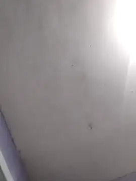 vanNe78 online show from February 28, 8:08 pm