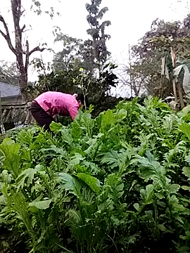 galaxy898 online show from February 5, 10:18 am