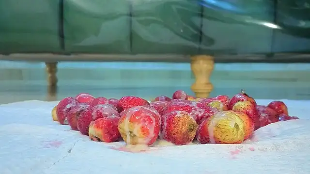 zarcasutra t online show from March 31, 1:00 pm