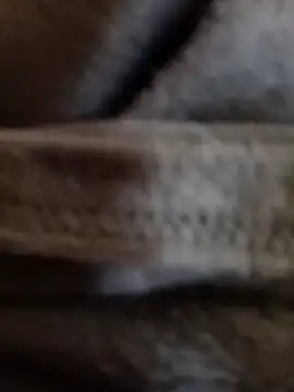 Daisy91 online show from January 14, 3:06 pm