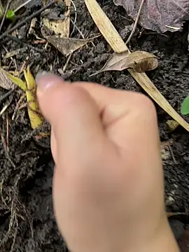 Lyn-be99 online show from February 15, 4:15 am