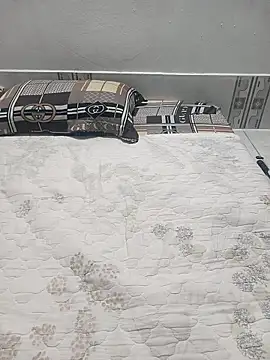 Jolli Bee online show from February 11, 11:12 am