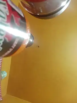 perrit17 online show from April 4, 3:16 am