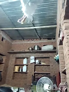 Hot ree64 online show from April 14, 6:19 pm