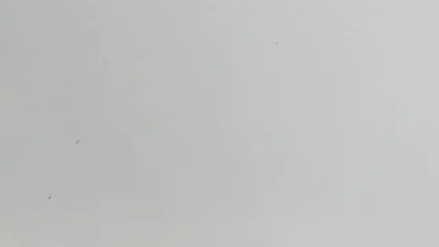 paola katy dicks online show from June 25, 7:48 pm