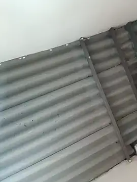 Little-Pussy19 online show from February 24, 3:43 pm