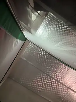 Milu-beo online show from March 11, 5:00 am