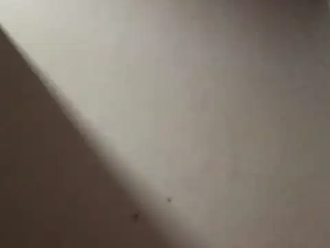 SL Uma online show from April 19, 7:05 pm