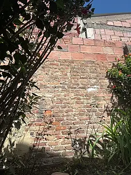 emily gv1 online show from June 17, 2:51 pm