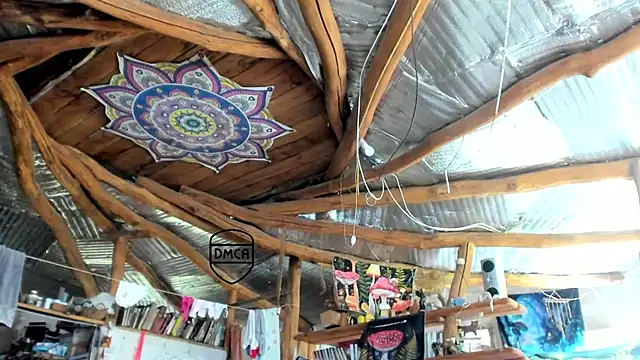 wildforestmuse  online show from August 8, 7:49 am