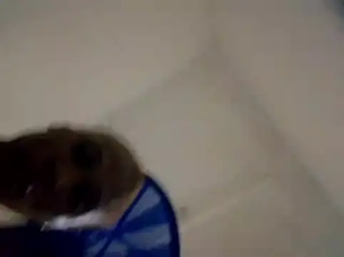 Seissy2 online show from May 26, 5:45 pm