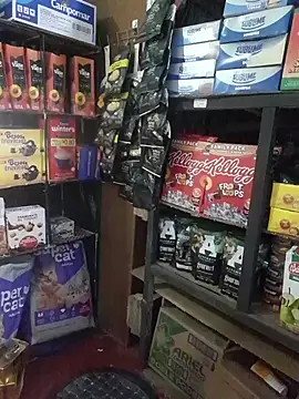 Kalani Engel online show from April 19, 5:29 am