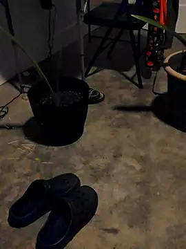 PinkyMarie0729 online show from October 29, 2:20 pm