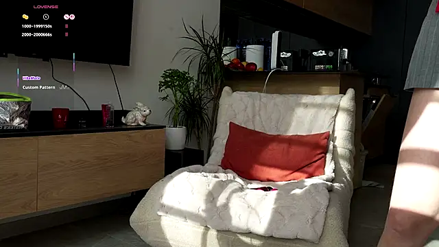 ibiddi online show from November 5, 11:04 am