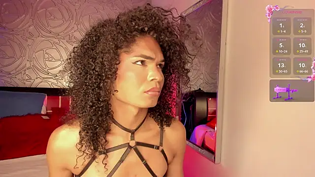 vennus1  online show from November 21, 3:41 am