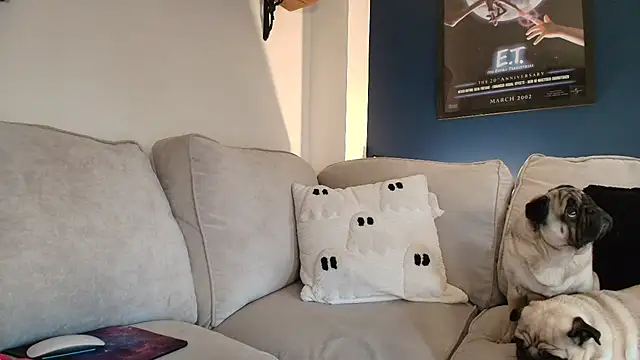 short sweetpea online show from October 8, 2:43 pm