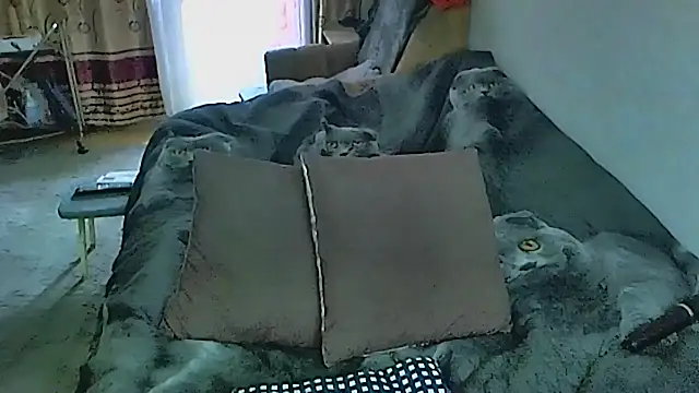 sex2 online show from September 23, 1:04 am