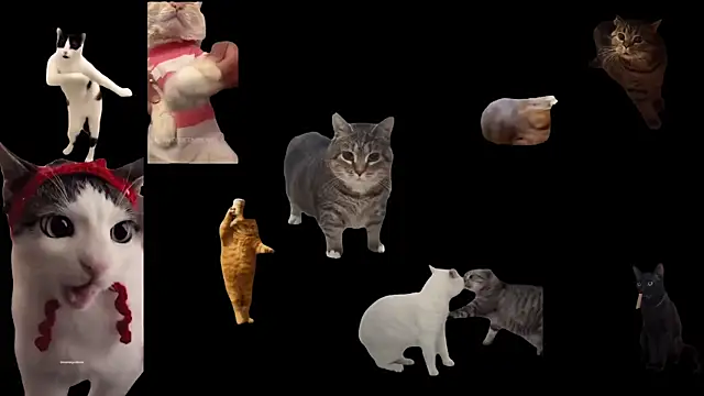 aberaaruba online show from November 12, 11:41 am