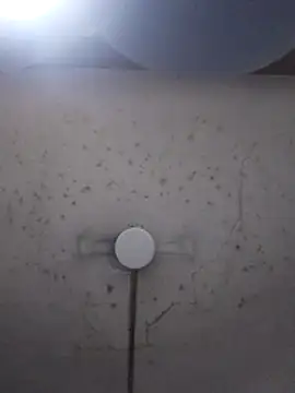 marie12345679 online show from February 26, 1:15 am