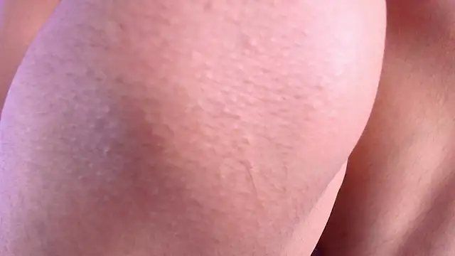 shelsyloreds online show from November 27, 12:52 pm