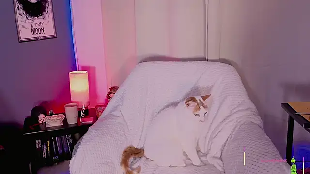 pamela doll3 online show from December 2, 3:08 am