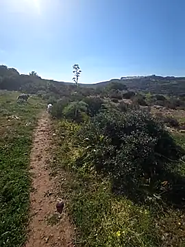 isabella rossse online show from March 12, 2:09 pm