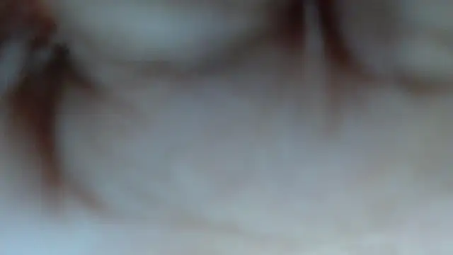 swt shadow online show from March 12, 8:11 pm