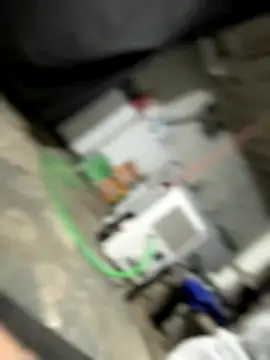 Pumpkin bunny online show from December 13, 10:59 pm