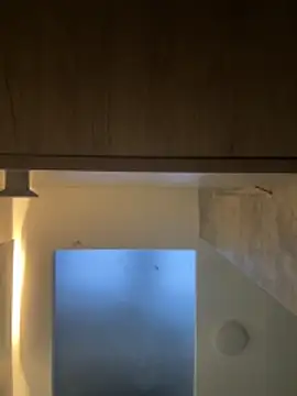 CeliWoods online show from November 30, 10:52 am