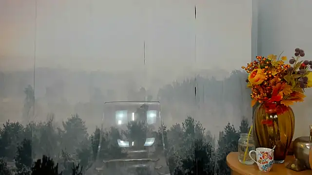 ViciousSiren online show from October 8, 11:25 am