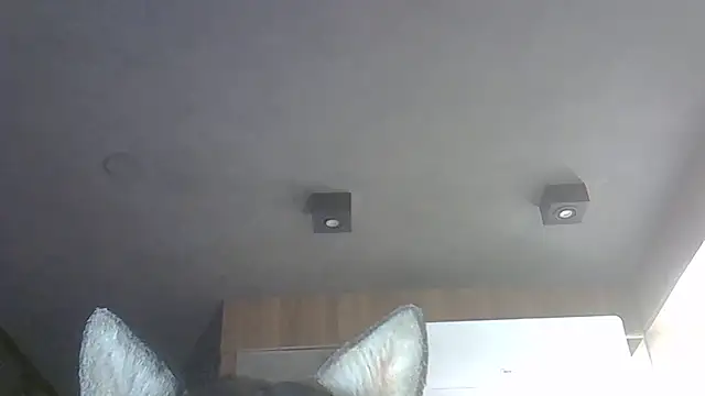 Skinny-Kitten online show from December 19, 9:01 am