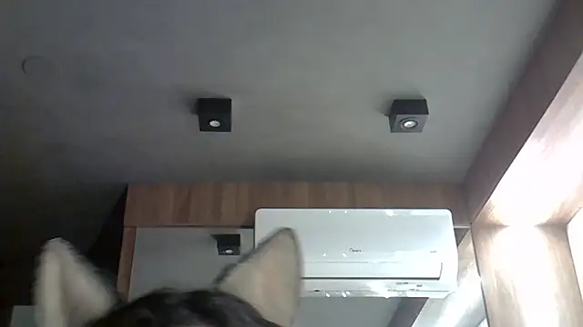 Skinny-Kitten online show from October 18, 10:55 pm