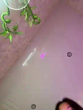 lily  foster online show from April 3, 6:11 am