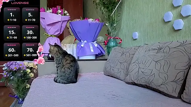 Black or white ANGEL online show from March 8, 12:09 pm