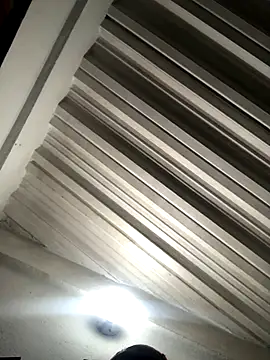 The wickles 4443 online show from November 9, 1:45 am